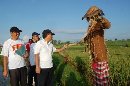 Gambar 1